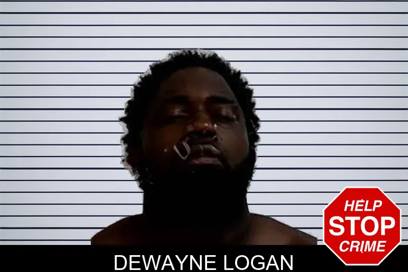 Dewayne Logan mugshot