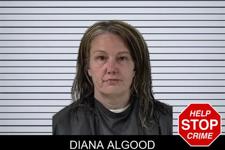 Diana Algood mugshot – Elbert County , Georgia Diana Algood