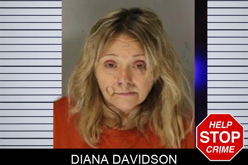 Diana Davidson mugshot