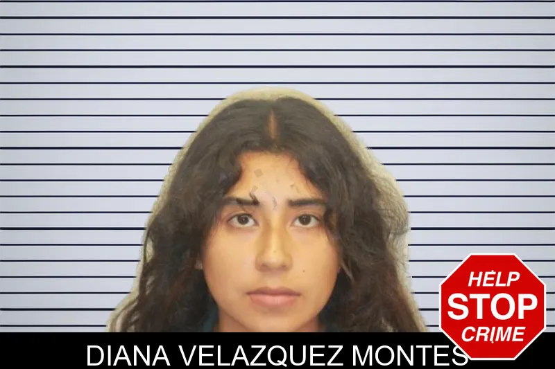 Diana Velazquez Montes mugshot