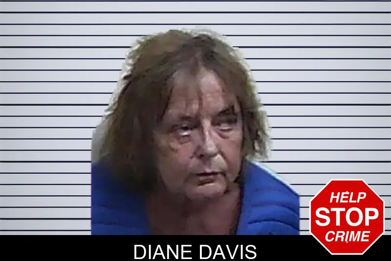 Diane Davis mugshot