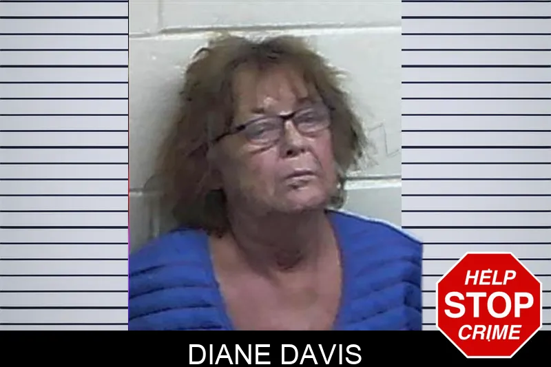 Diane Davis mugshot