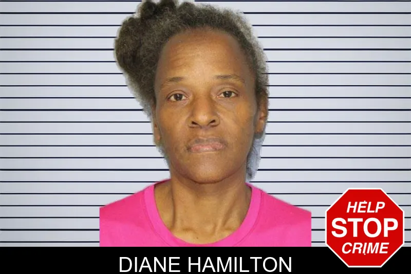 Diane Hamilton mugshot – Hall County , Georgia Diane Hamilton mugshot