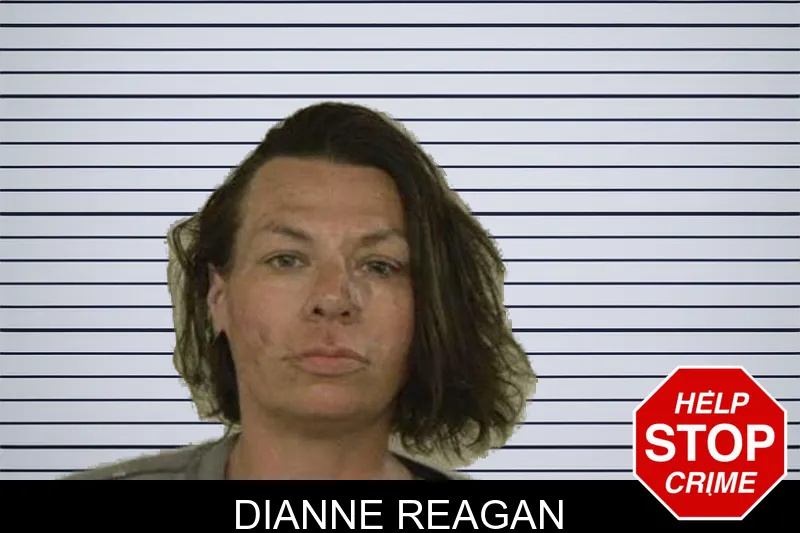 Dianne Reagan mugshot