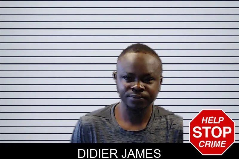 Didier James mugshot – DeKalb County , Georgia Didier James mugshot