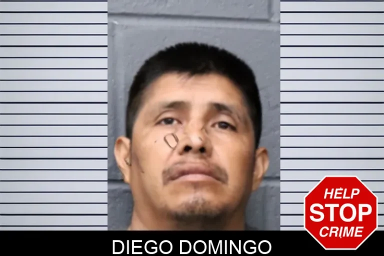 Diego Domingo mugshot – Forsyth County , Georgia Diego Domingo