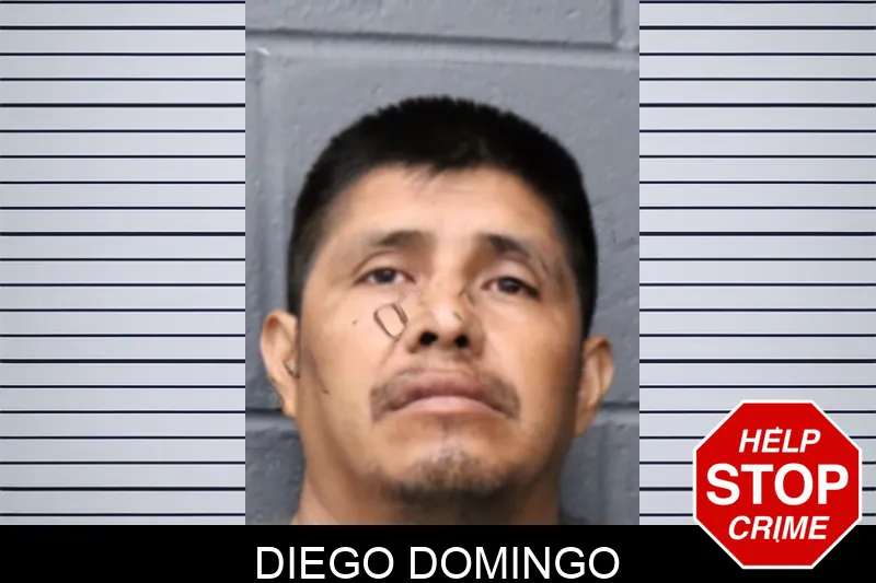 Diego Domingo mugshot – Forsyth County , Georgia Diego Domingo mugshot