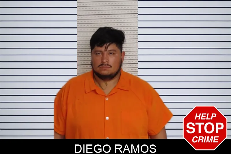 Diego Ramos mugshot
