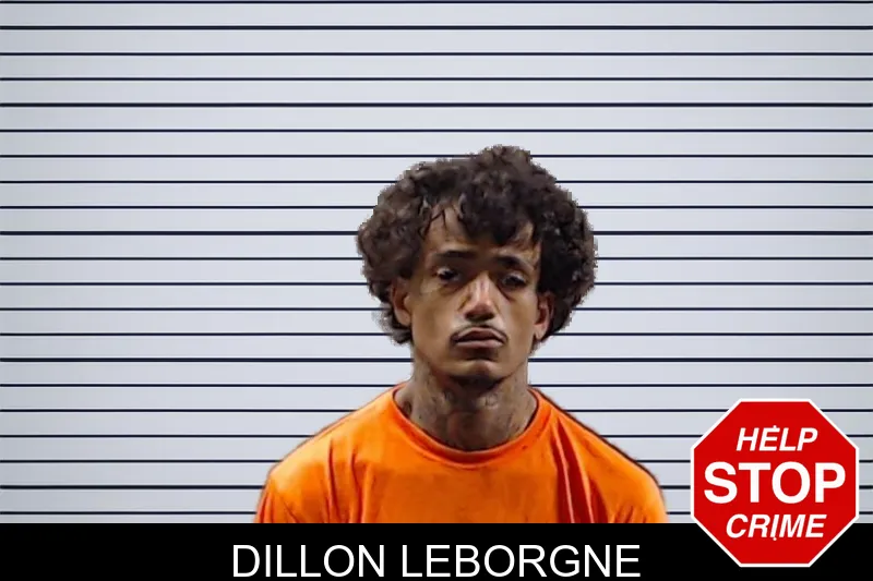 Dillon Leborgne mugshot