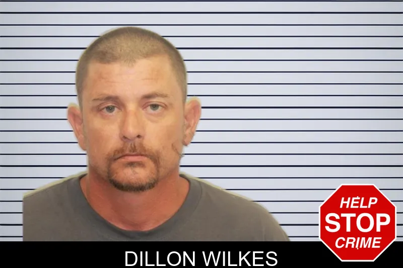Dillon Wilkes mugshot