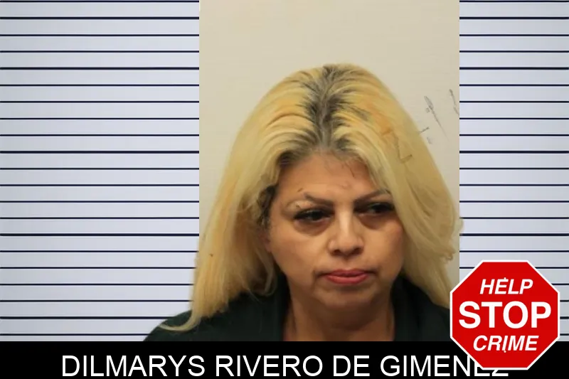 Dilmarys Rivero De Gimenez mugshot
