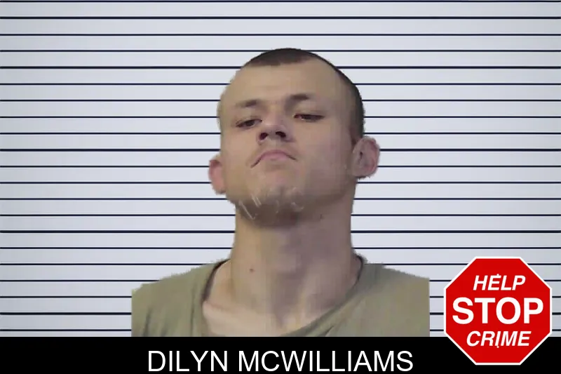 Dilyn McWilliams mugshot – Jasper County , Georgia Dilyn McWilliams mugshot