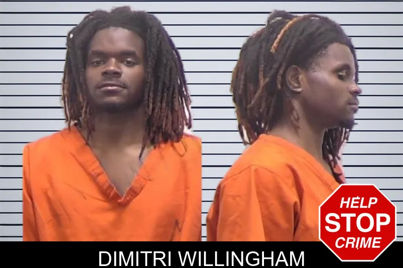 Dimitri Willingham mugshot