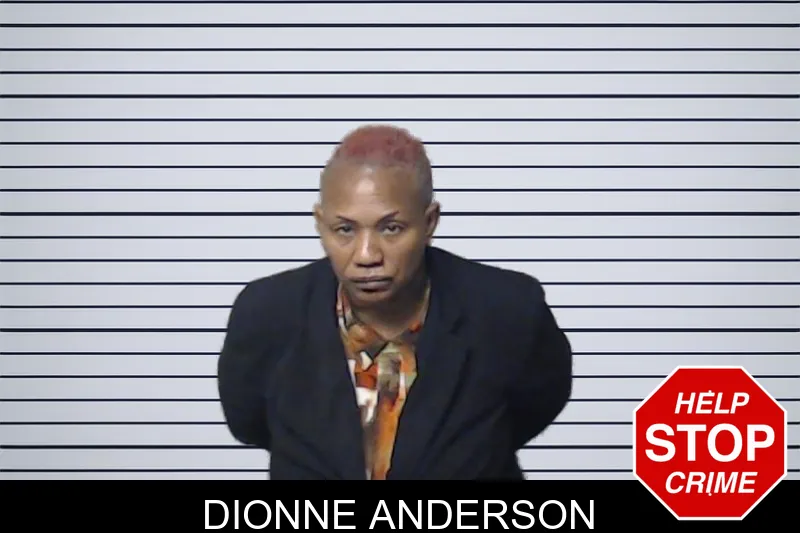 Dionne Anderson mugshot
