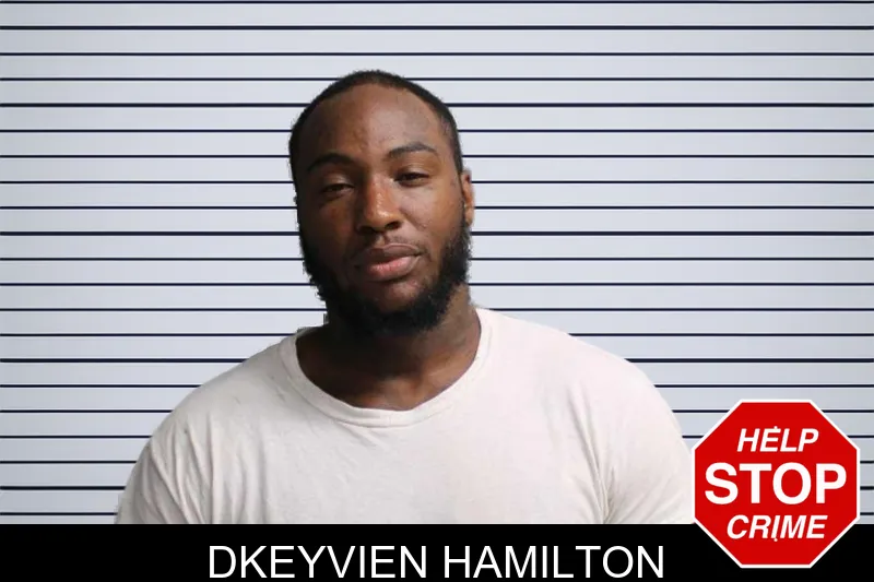 Dkeyvien Hamilton mugshot