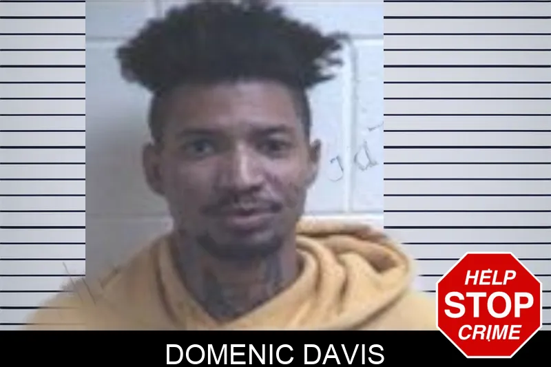 Domenic Davis mugshot