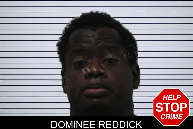 Dominee Reddick mugshot