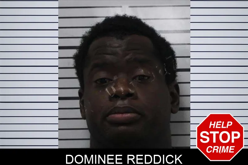 Dominee Reddick mugshot
