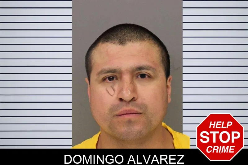 Domingo Alvarez mugshot