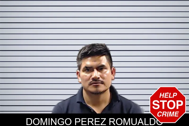 Domingo Perez Romualdo mugshot