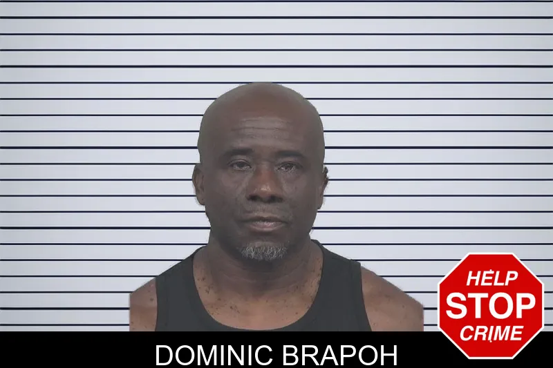 Dominic Brapoh mugshot