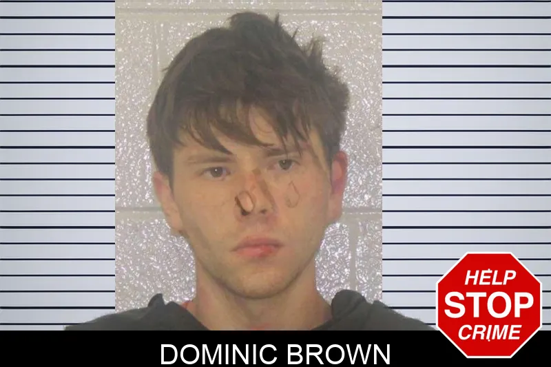 Dominic Brown mugshot