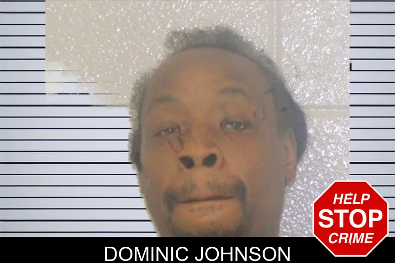 Dominic Johnson mugshot – Carroll County , Georgia Dominic Johnson mugshot