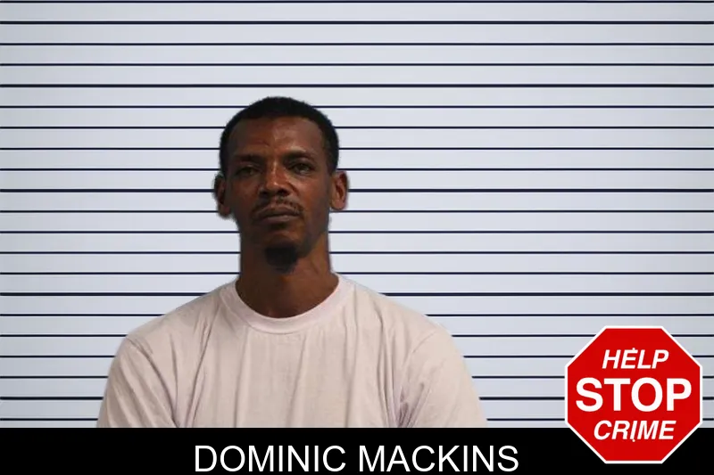 Dominic Mackins mugshot