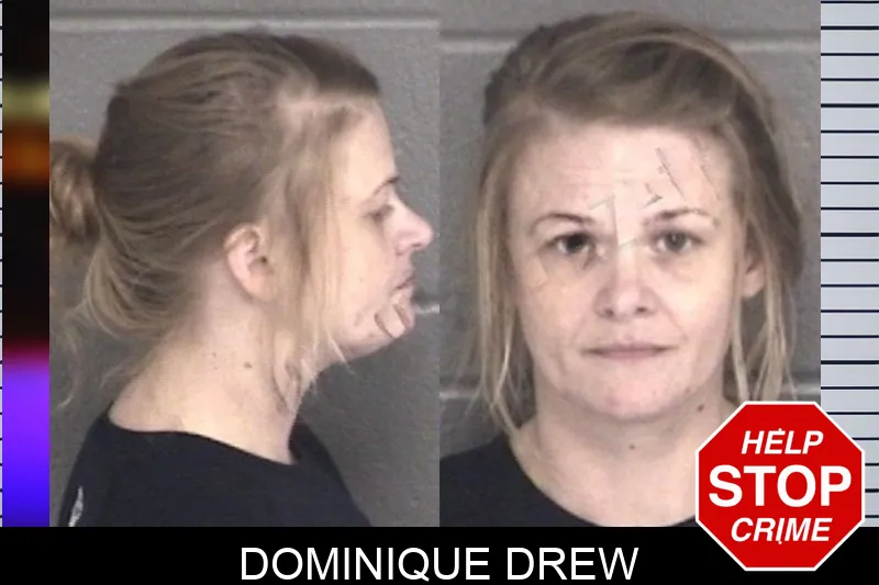Dominique Drew mugshot