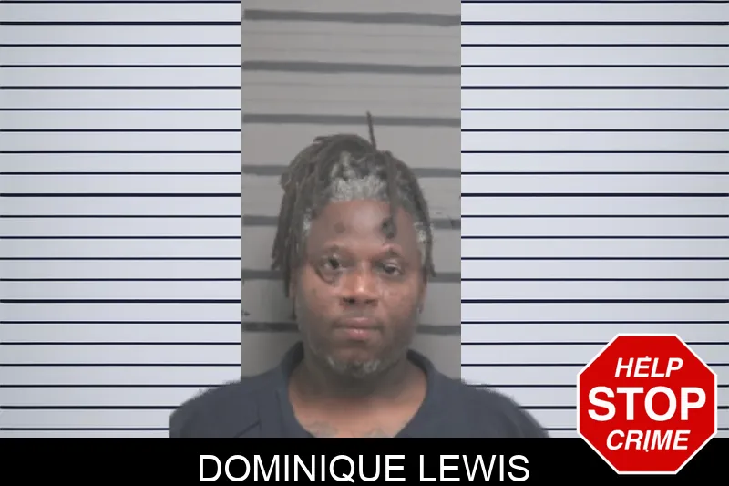 Dominique Lewis mugshot