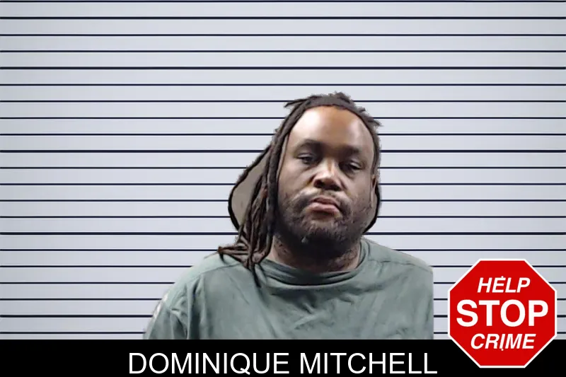 Dominique Mitchell mugshot – DeKalb County , Georgia Dominique Mitchell mugshot
