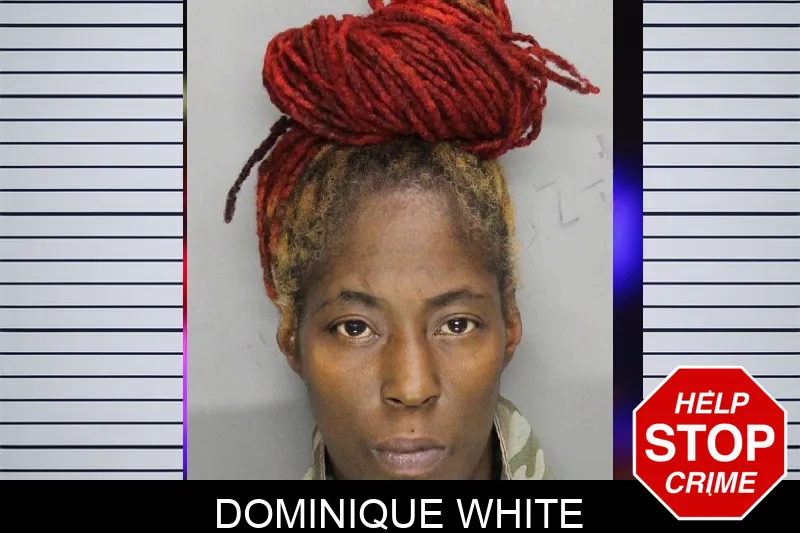 Dominique White mugshot