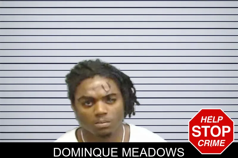 Dominque Meadows mugshot
