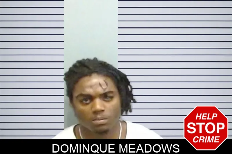 Dominque Meadows mugshot