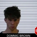 Domniic Brown mugshot