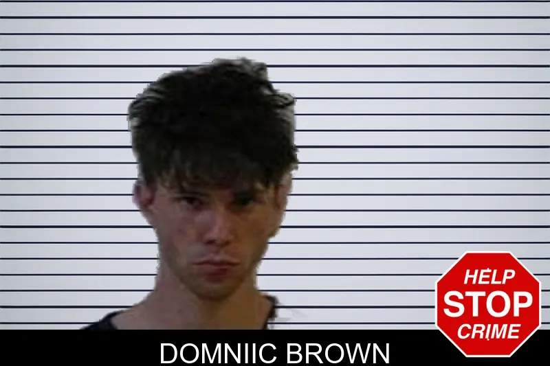 Domniic Brown mugshot