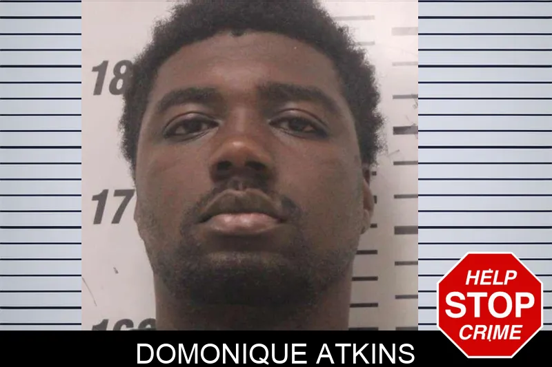 Domonique Atkins mugshot – Colquitt County , Georgia Domonique Atkins mugshot