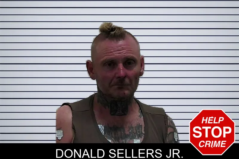 Donald Sellers Jr. mugshot