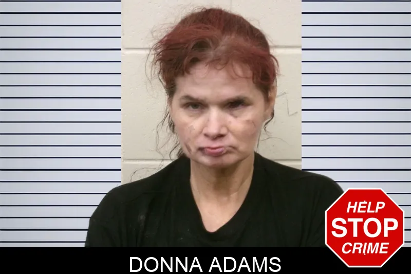 Donna Adams mugshot