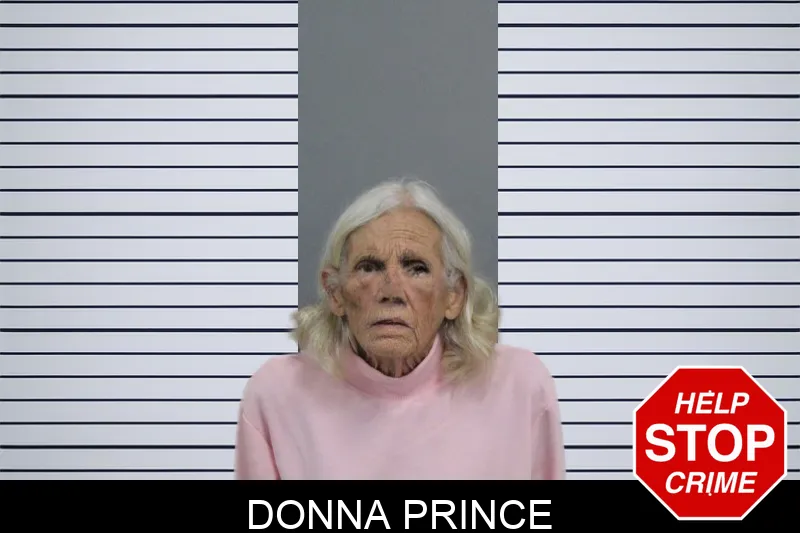 Donna Prince mugshot – Catoosa County , Georgia Donna Prince mugshot