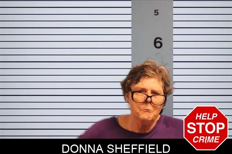 Donna Sheffield mugshot