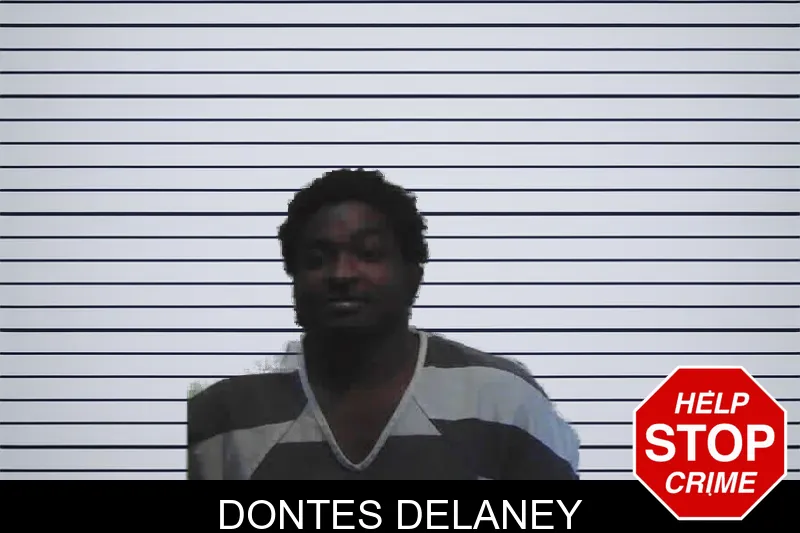 Dontes Delaney mugshot