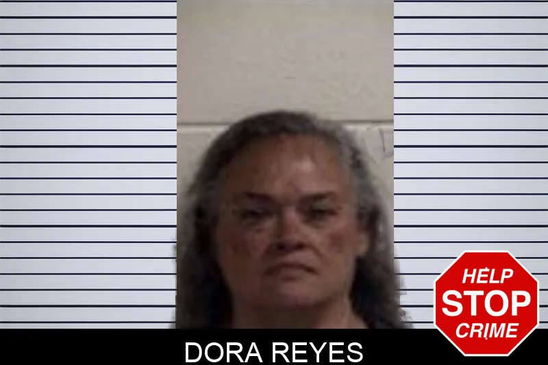 Dora Reyes mugshot