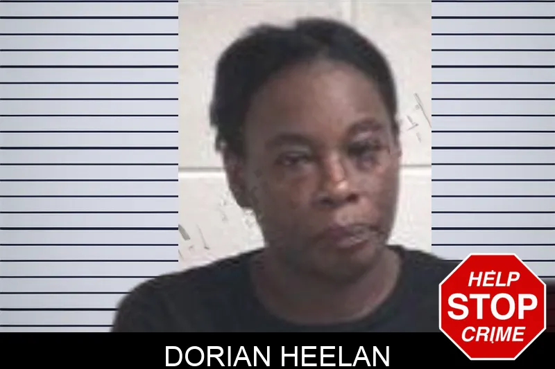 Dorian Heelan mugshot