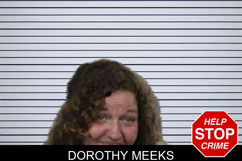 Dorothy Meeks mugshot