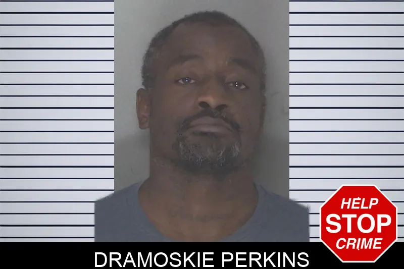 Dramoskie Perkins mugshot