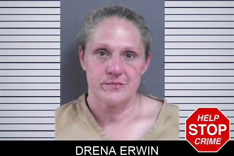 Drena Erwin mugshot