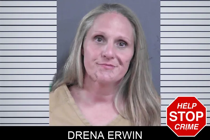 Drena Erwin mugshot – Gordon County , Georgia Drena Erwin mugshot