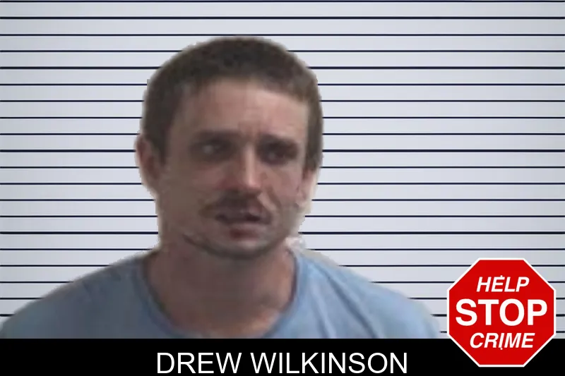 Drew Wilkinson mugshot – Henry County , Georgia Drew Wilkinson mugshot