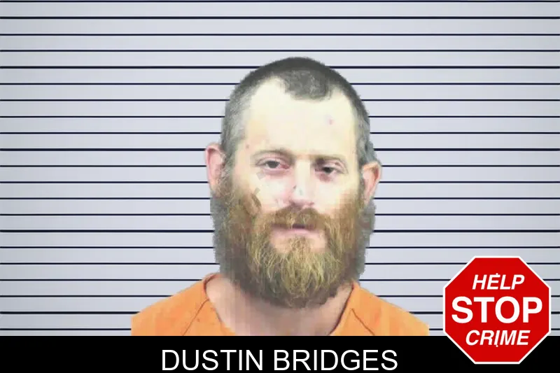 Dustin Bridges mugshot